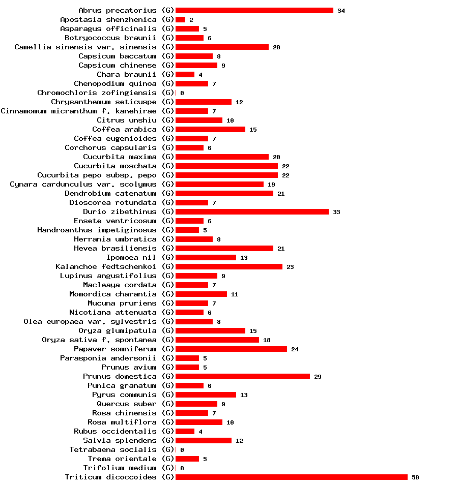 Distribution