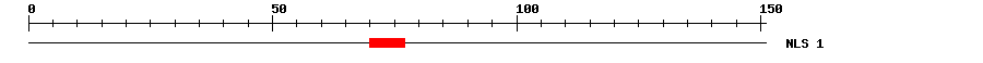 NLS