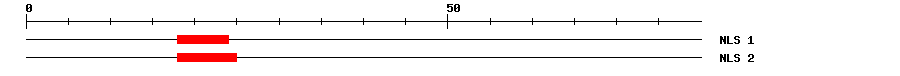 NLS
