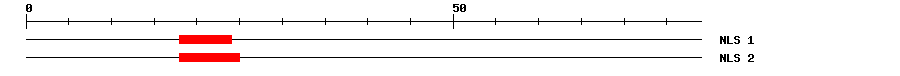 NLS