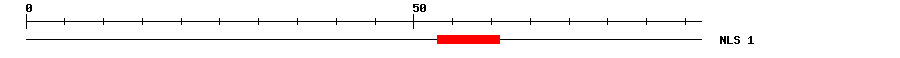 NLS