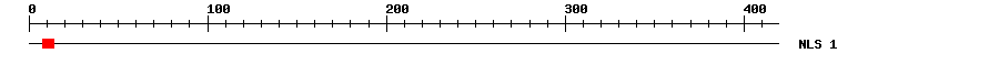NLS