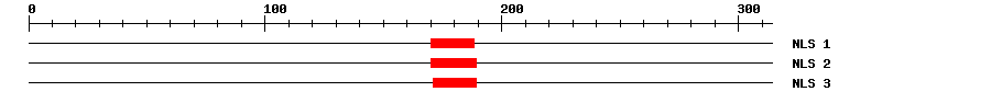 NLS