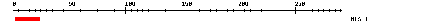 NLS