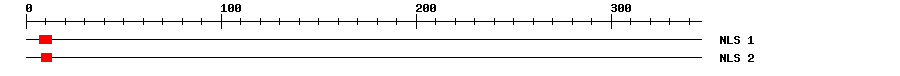 NLS