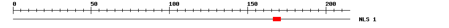 NLS