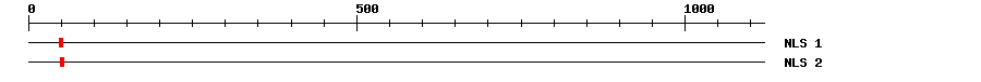 NLS