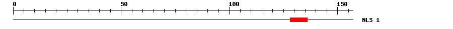 NLS