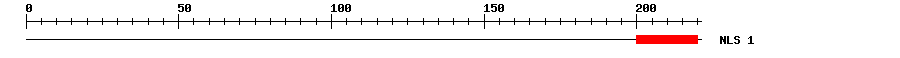 NLS