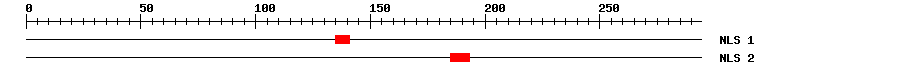 NLS