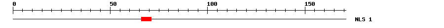 NLS