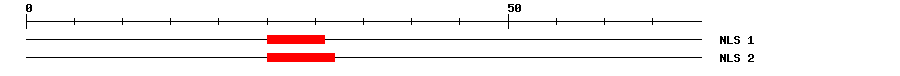 NLS