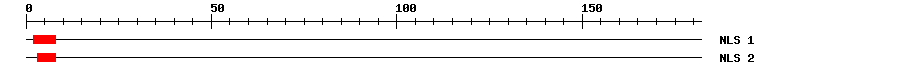 NLS