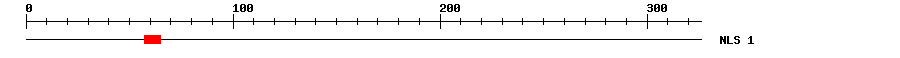 NLS