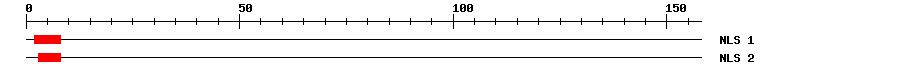 NLS