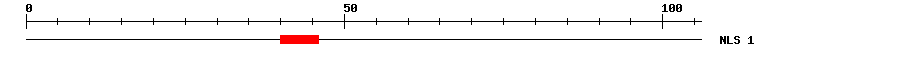 NLS