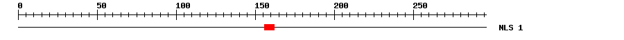 NLS
