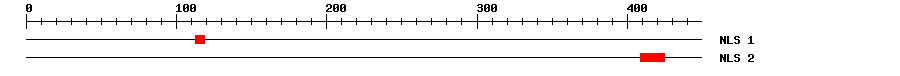 NLS