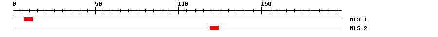 NLS