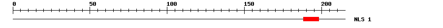 NLS