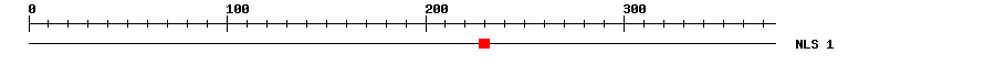 NLS