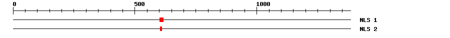 NLS