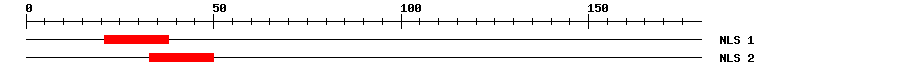 NLS