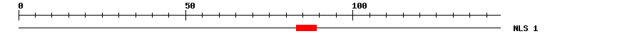 NLS
