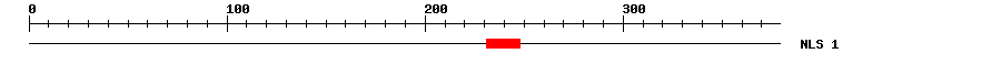 NLS
