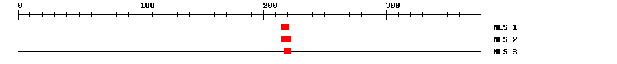 NLS