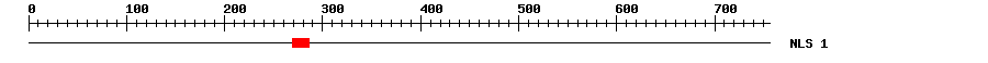 NLS