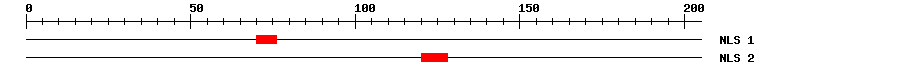 NLS
