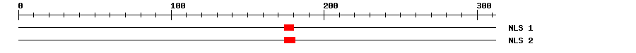 NLS