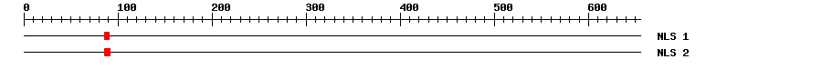 NLS