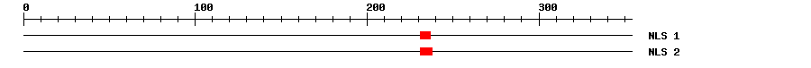 NLS