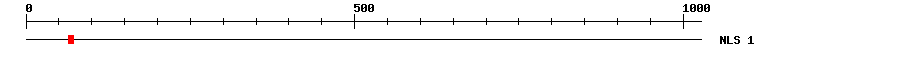 NLS