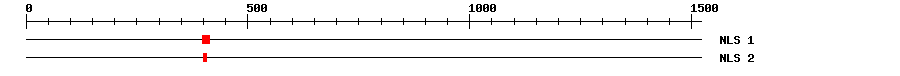 NLS