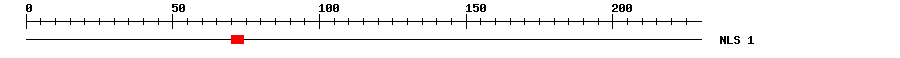 NLS