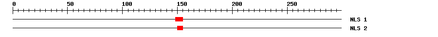 NLS