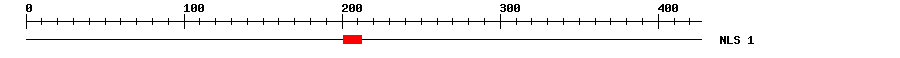 NLS