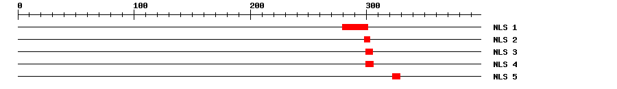 NLS