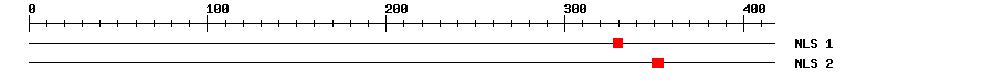 NLS