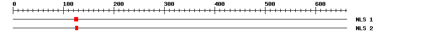 NLS