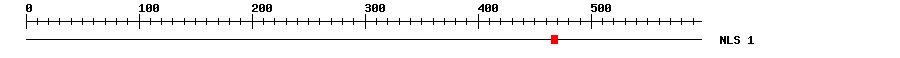 NLS