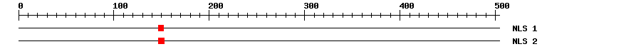NLS