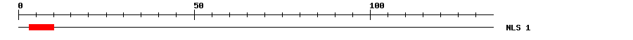 NLS