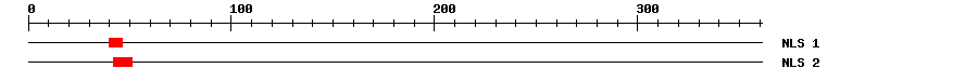 NLS