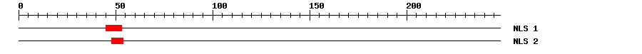 NLS