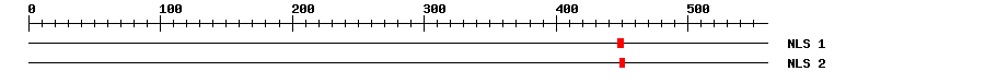 NLS
