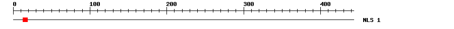 NLS